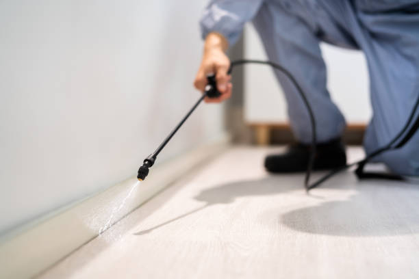 Licensed Rodent Control service in Livingston County County, NY - Nex Pest Control