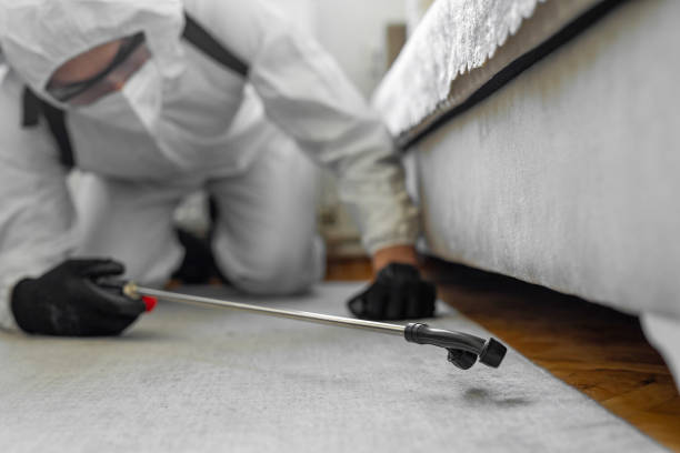 Professional Rodent Control technician working in Livingston County County, NY